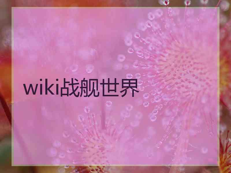 wiki战舰世界