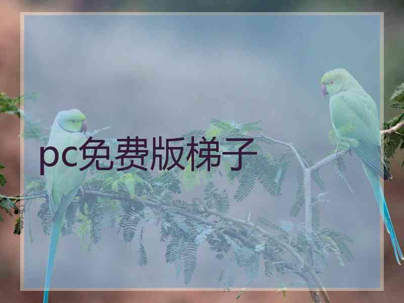 pc免费版梯子