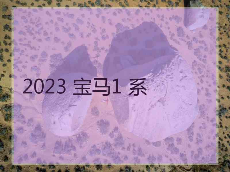 2023 宝马1 系