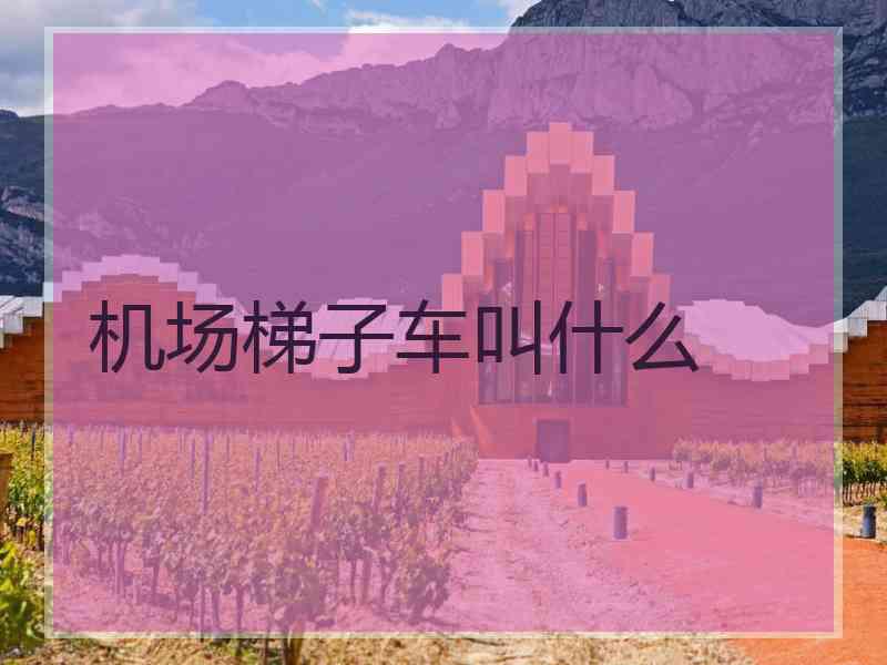 机场梯子车叫什么