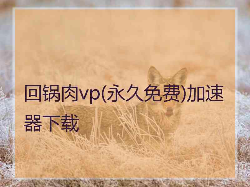 回锅肉vp(永久免费)加速器下载