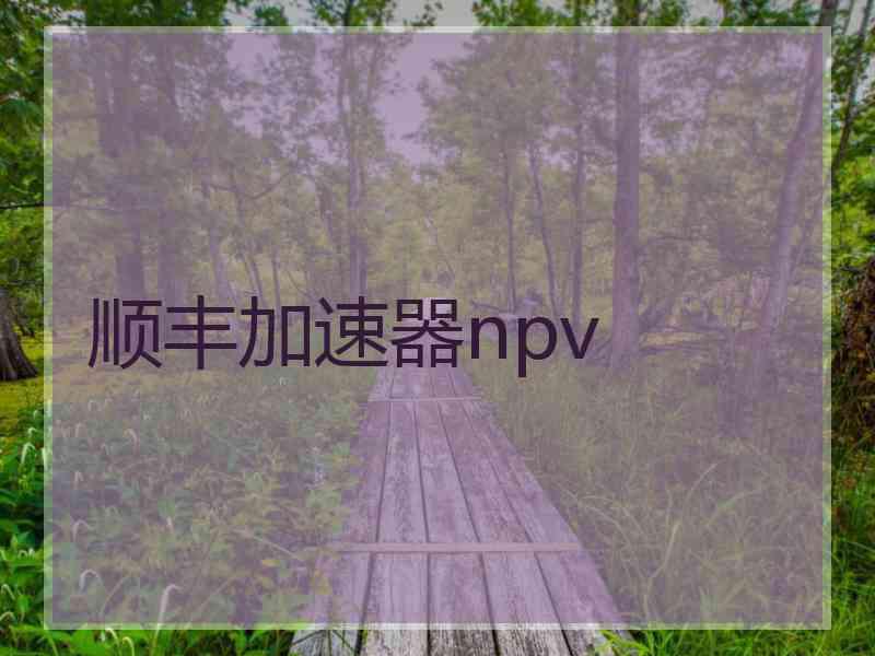 顺丰加速器npv