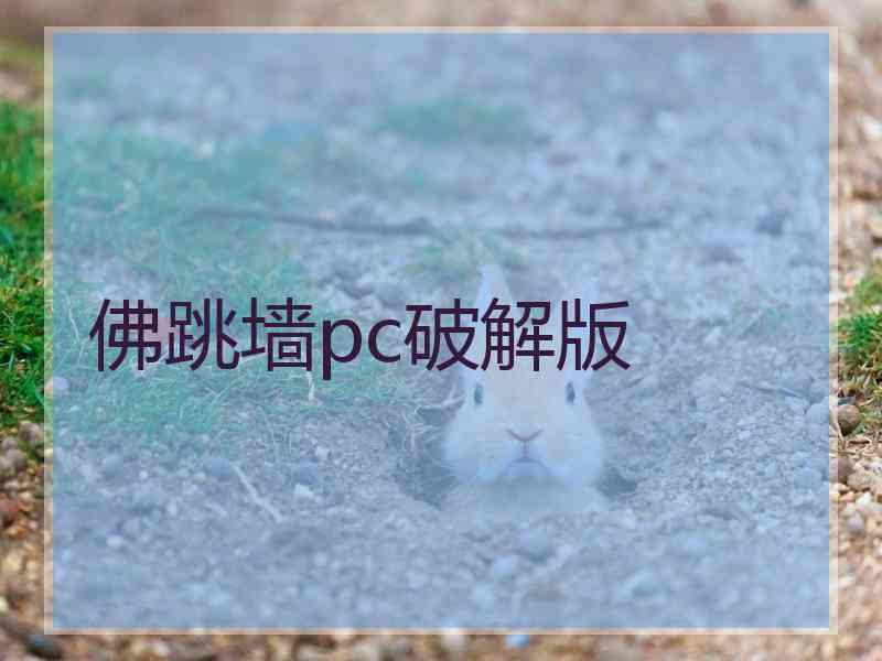 佛跳墙pc破解版