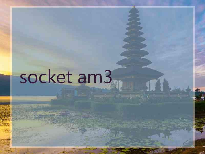 socket am3