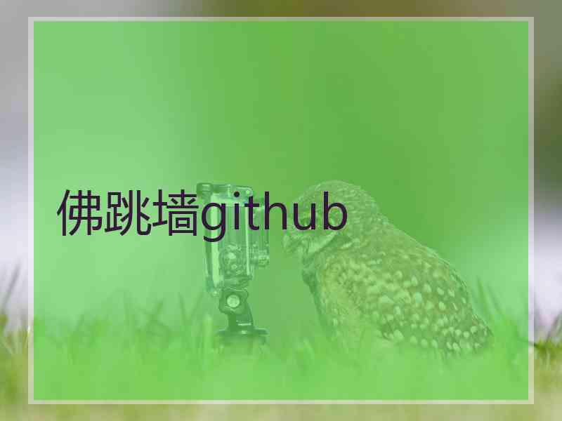 佛跳墙github