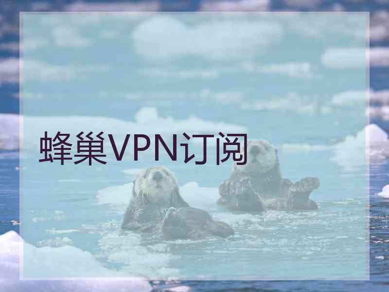 蜂巢VPN订阅