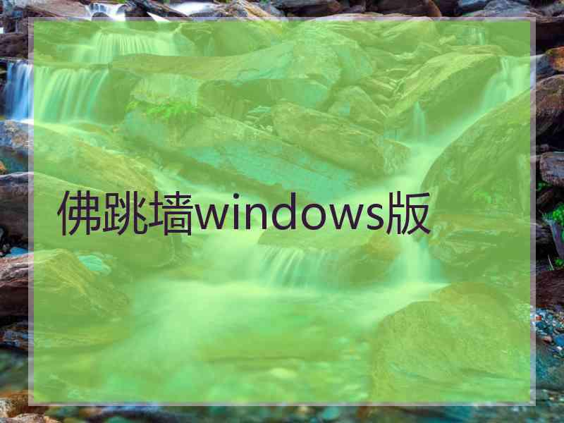 佛跳墙windows版