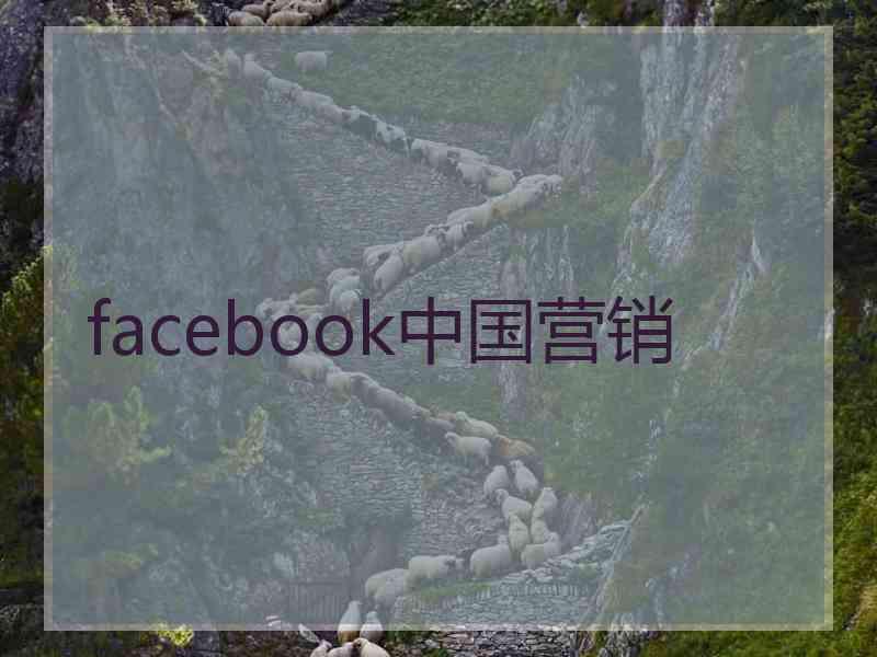 facebook中国营销