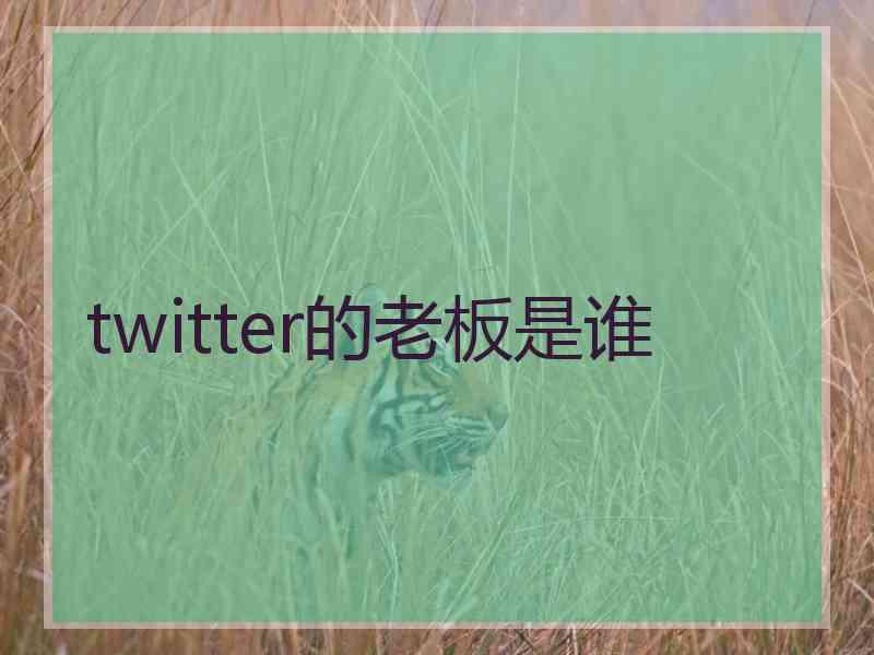 twitter的老板是谁