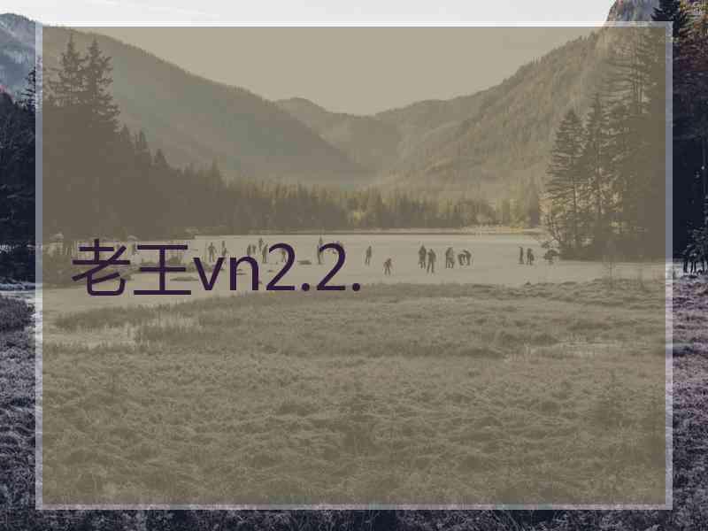 老王vn2.2.