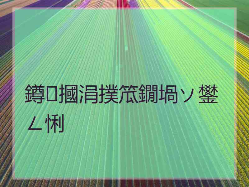 鐏摑涓撲笟鐗堝ソ鐢ㄥ悧