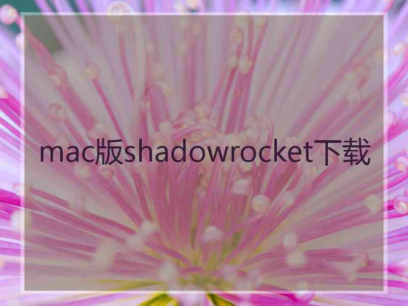 mac版shadowrocket下载