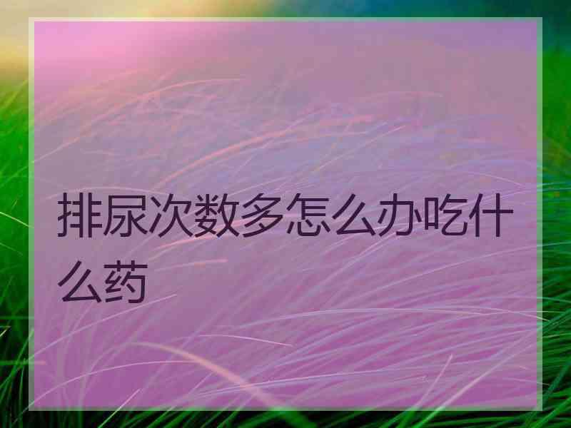 排尿次数多怎么办吃什么药