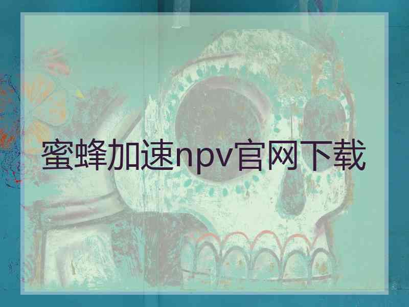 蜜蜂加速npv官网下载