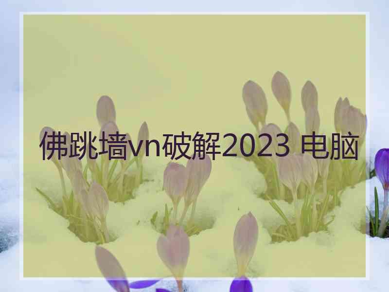 佛跳墙vn破解2023 电脑