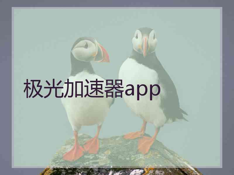 极光加速器app