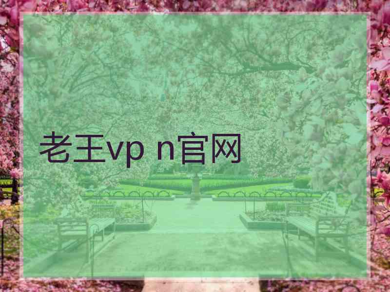 老王vp n官网