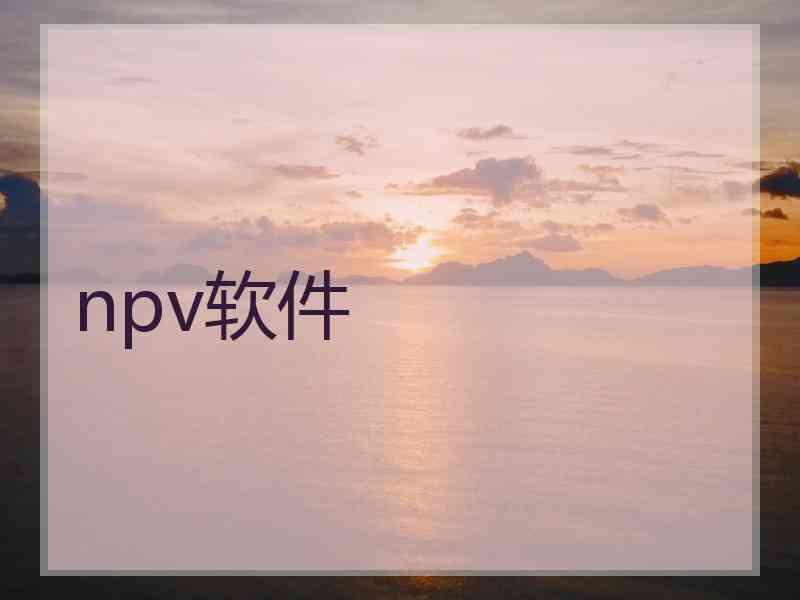 npv软件