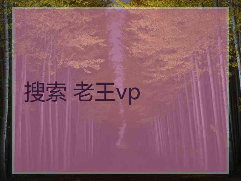 搜索 老王vp