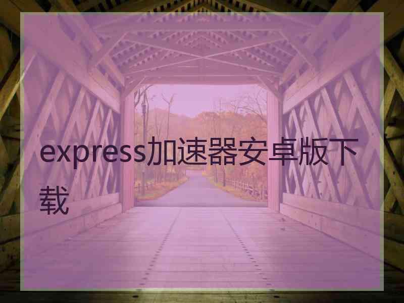 express加速器安卓版下载