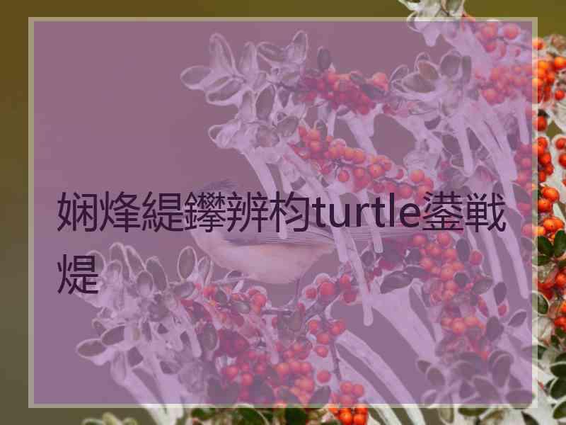 娴烽緹鑻辨枃turtle鍙戦煶