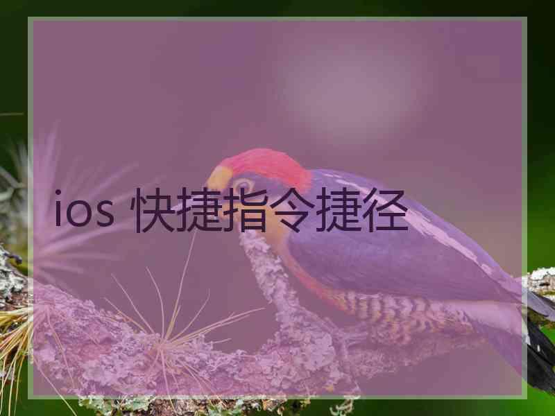 ios 快捷指令捷径