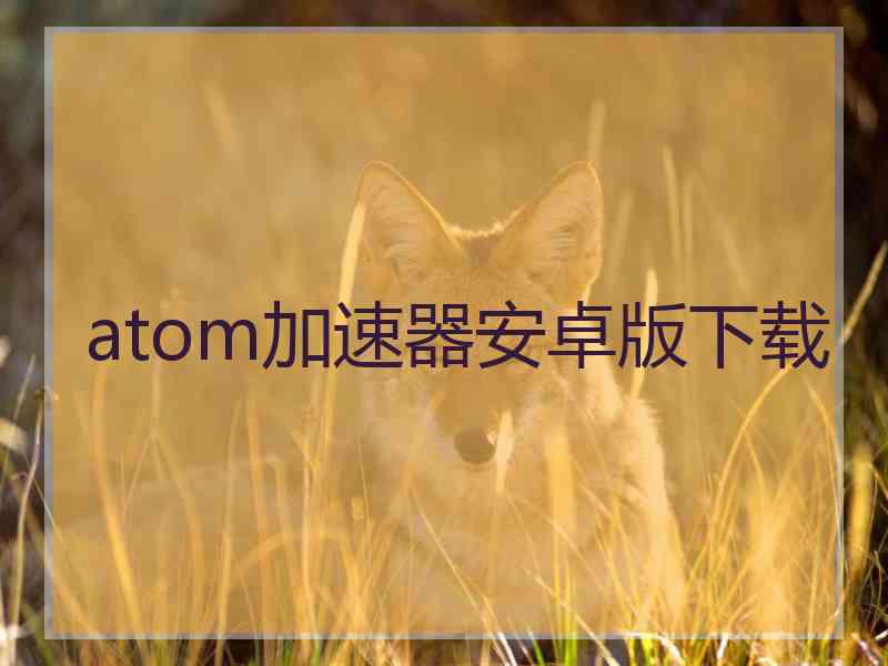 atom加速器安卓版下载