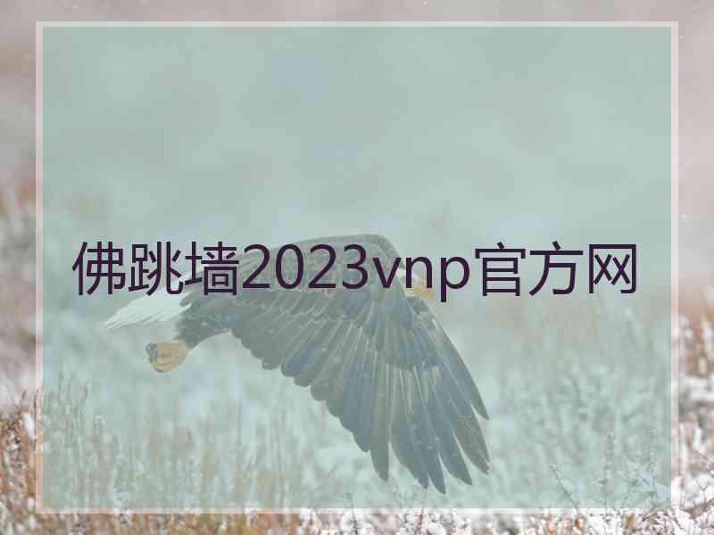 佛跳墙2023vnp官方网