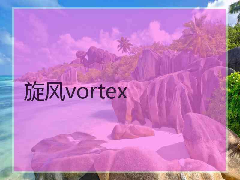 旋风vortex