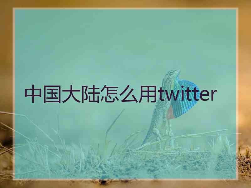 中国大陆怎么用twitter