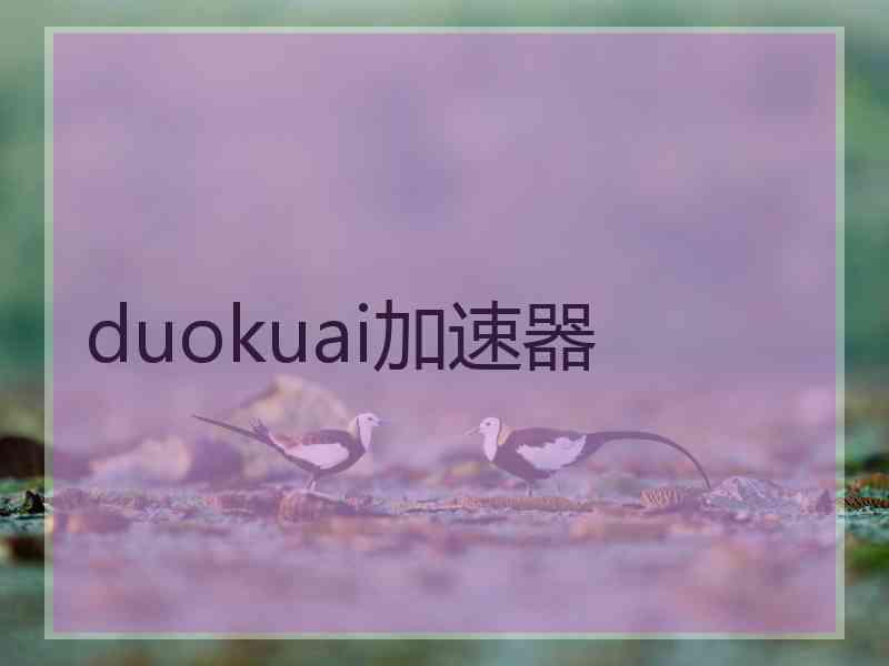 duokuai加速器