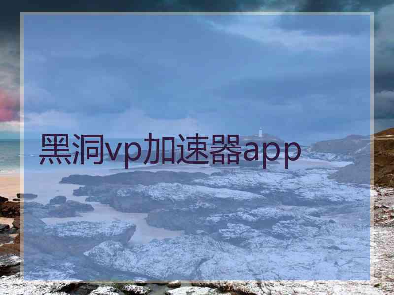 黑洞vp加速器app