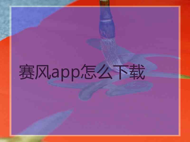 赛风app怎么下载