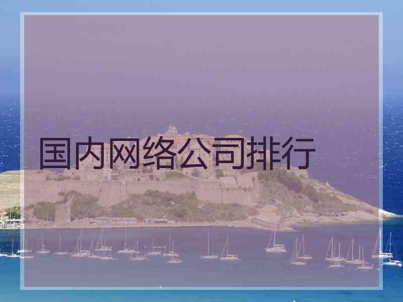 国内网络公司排行