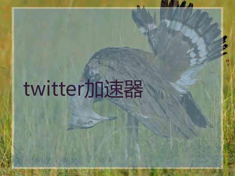 twitter加速器