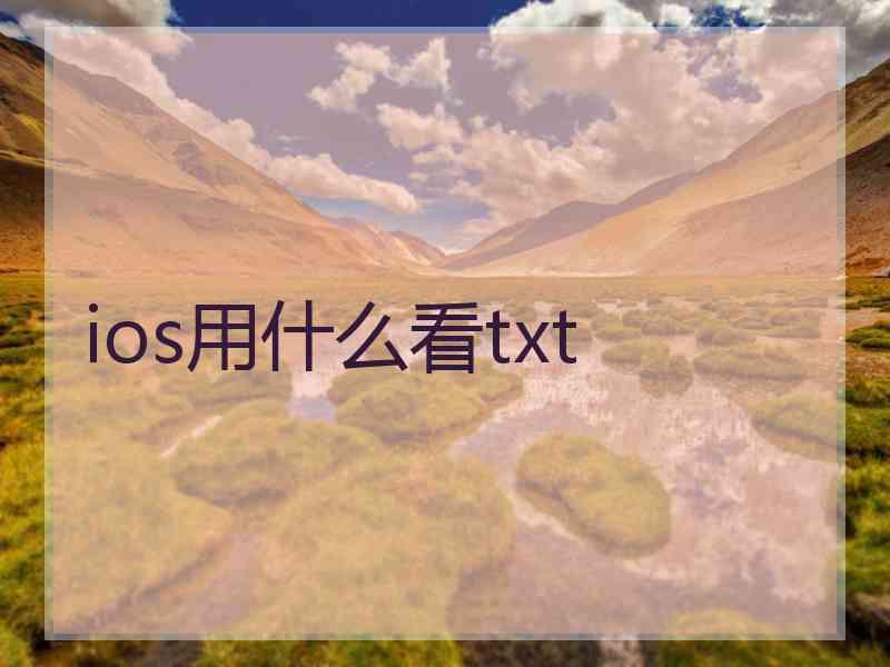 ios用什么看txt