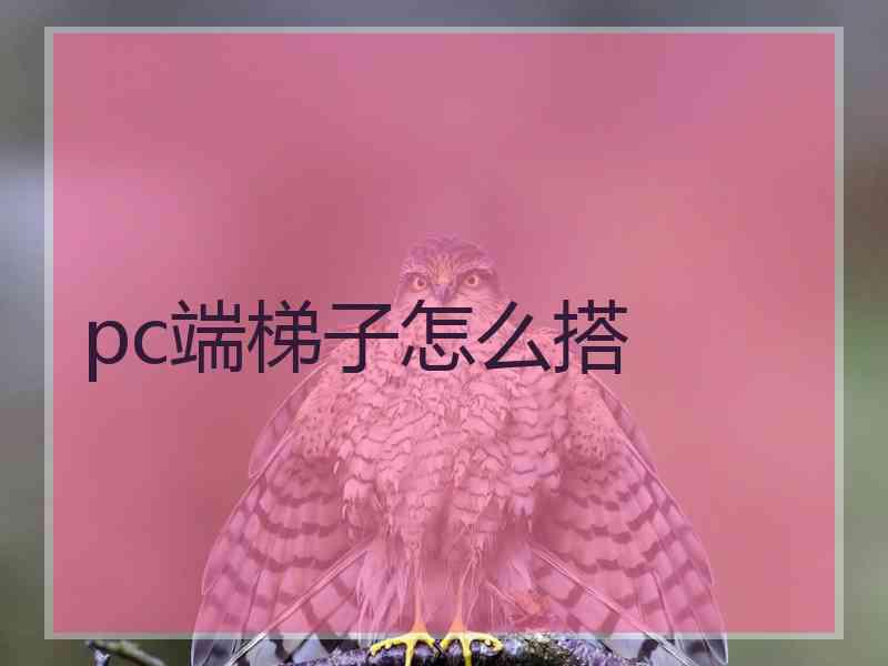 pc端梯子怎么搭