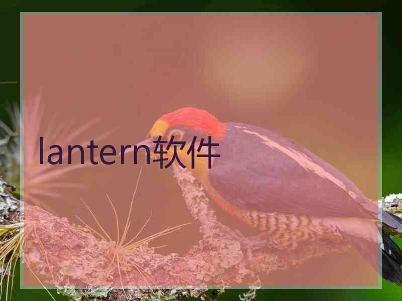 lantern软件