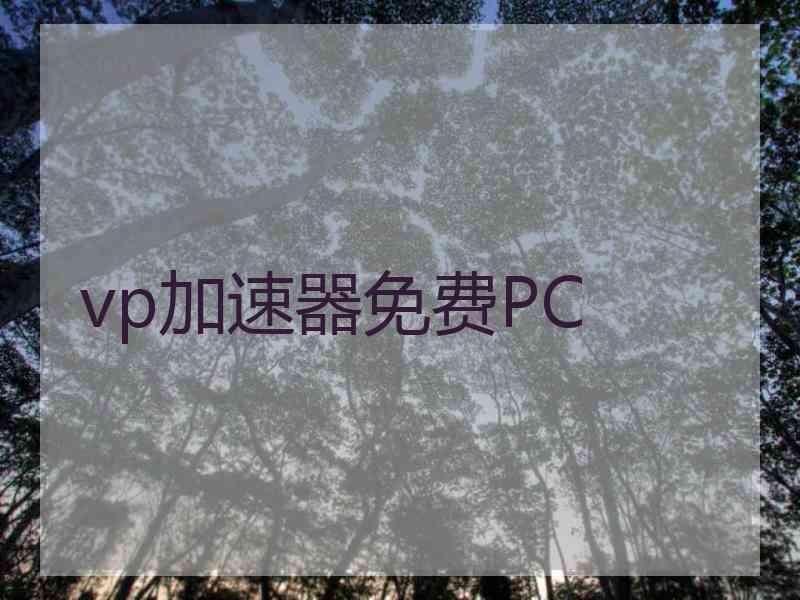 vp加速器免费PC