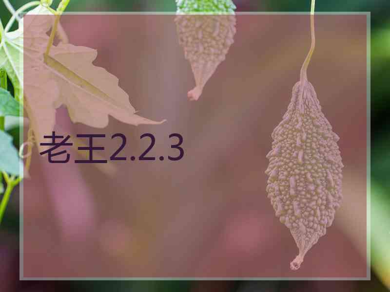 老王2.2.3