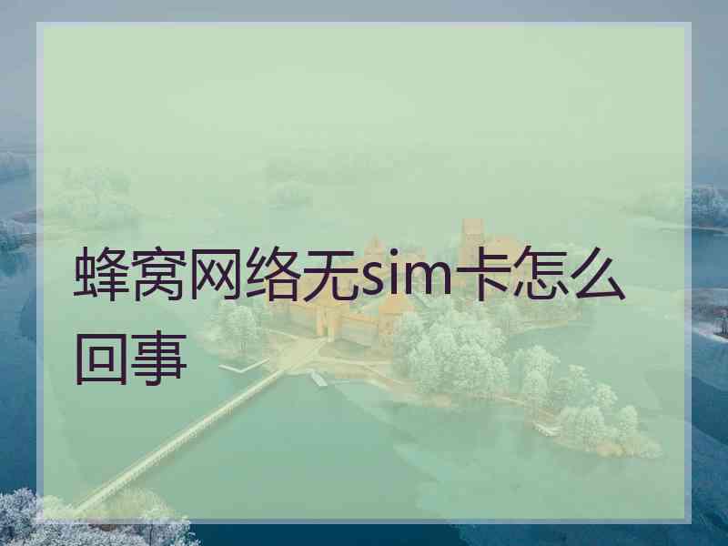 蜂窝网络无sim卡怎么回事