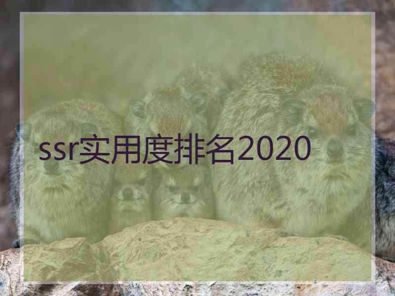 ssr实用度排名2020