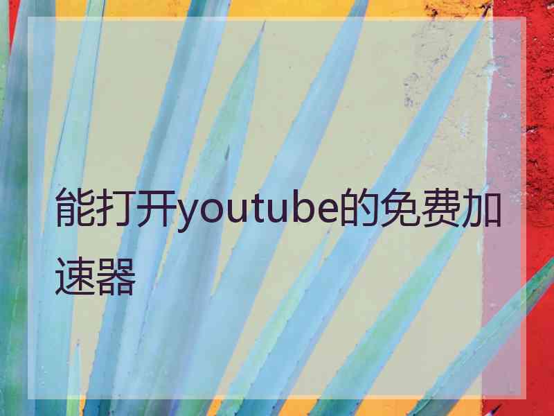 能打开youtube的免费加速器