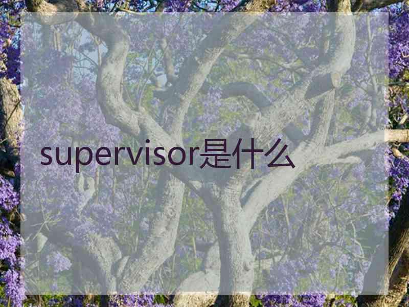 supervisor是什么