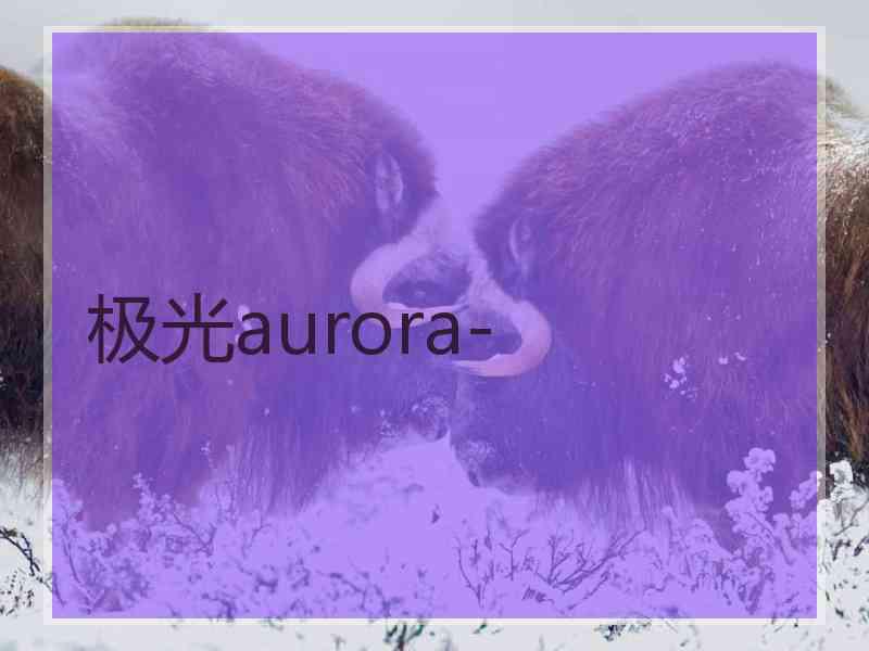 极光aurora-