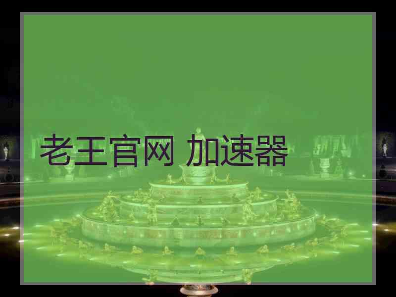 老王官网 加速器