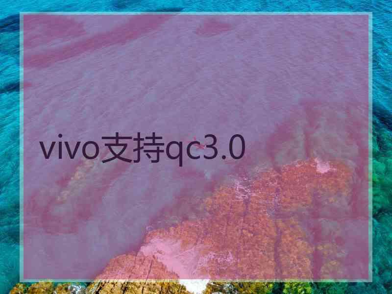 vivo支持qc3.0