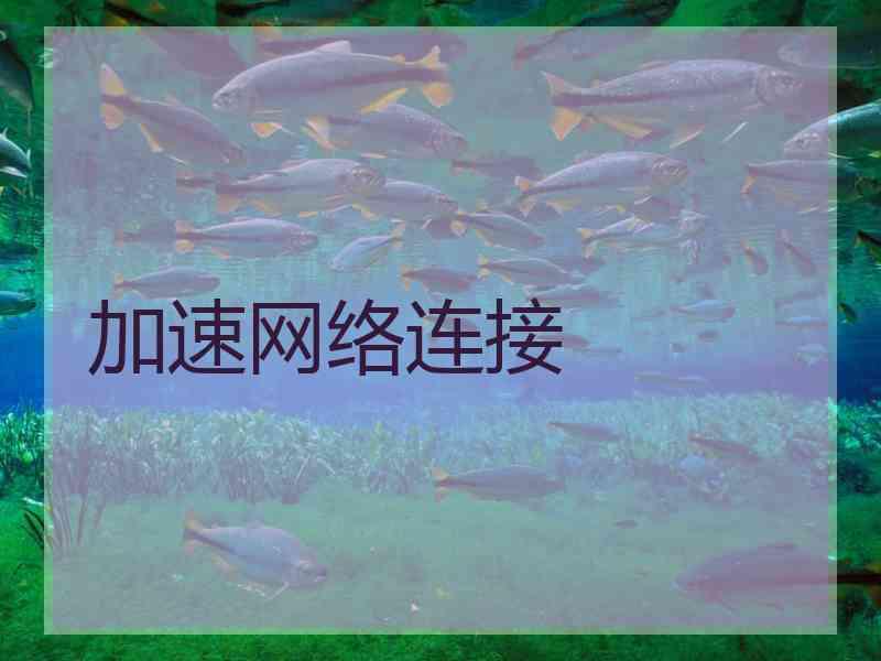 加速网络连接