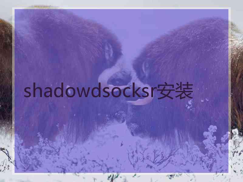 shadowdsocksr安装