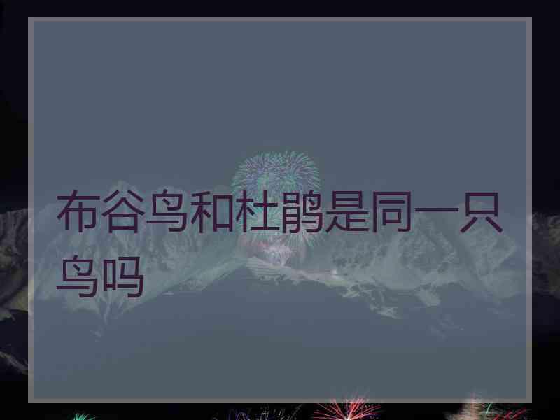 布谷鸟和杜鹃是同一只鸟吗